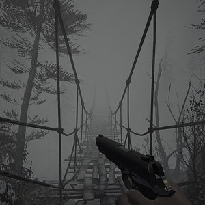 A bridge of unproven safety