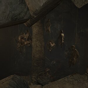 Feeding Frenzy