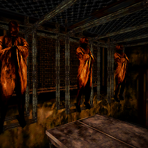 Bodies on rails